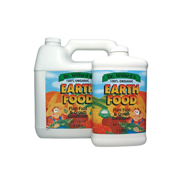 Q100284.jpg