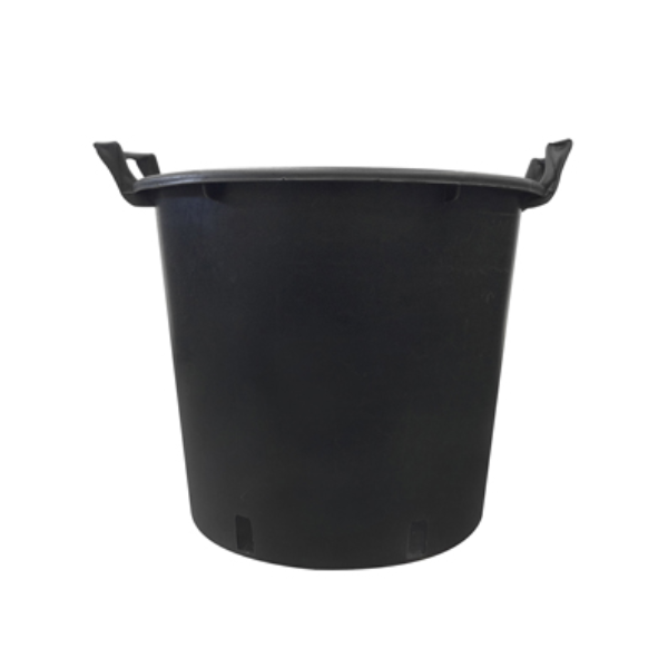 Q100505.jpg