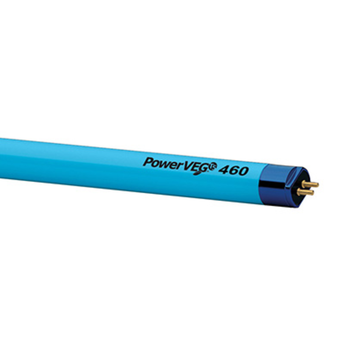 Q100907.jpg