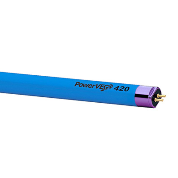 Q100904.jpg