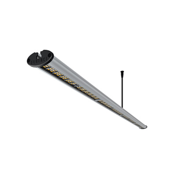 Q101118.jpg