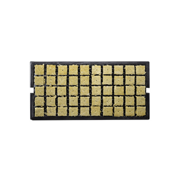 Q112734.jpg