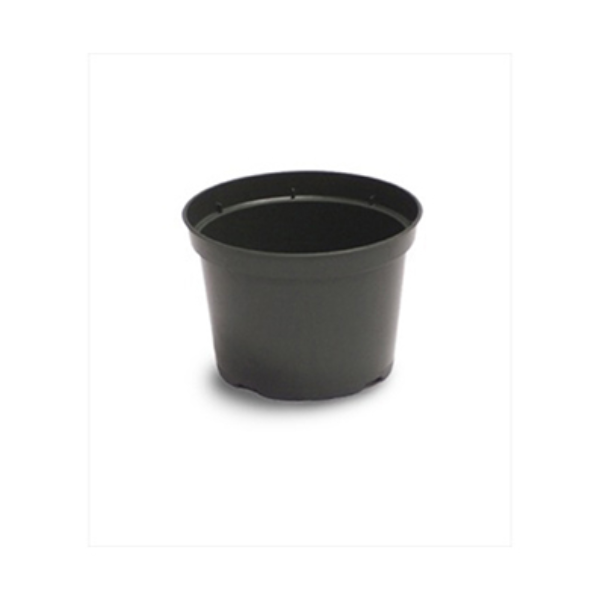 Elite Azalea 12 cm (5") Round Plastic Pot, Green