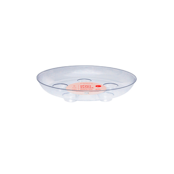 Curtis Wagner 20.3 cm (8") Designer Heavy Plant Saucer, Clear