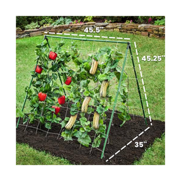 Dalen Vertical Trellis Kit, A-Frame Plant Support, 1.15 x 1.14 m (45.5" x 45.25")
