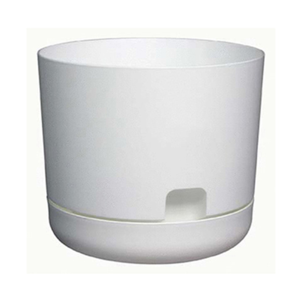 DCN Plastic Oasis Self-Watering Planter w/ Saucer, (8"), White