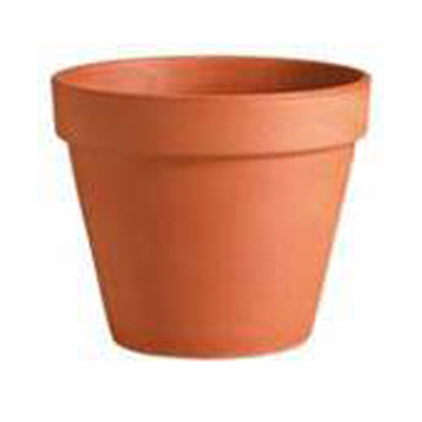 Deroma Standard Clay Garden Pot, 5 cm (2"), Cotto