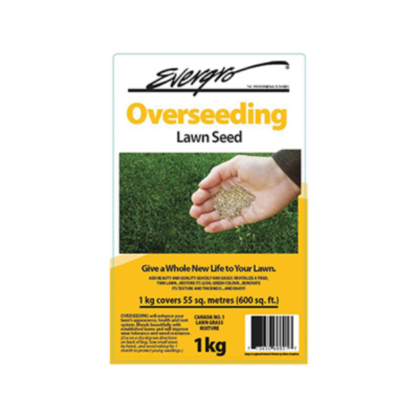 Evergro Overseeding Lawn Seed, 1 kg (2.2 lb)