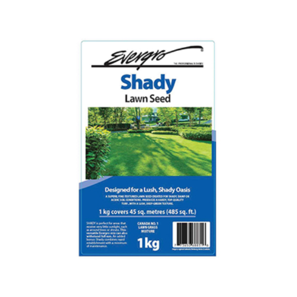 Evergro Shady Lawn Seed, 1 kg (2.2 lb)