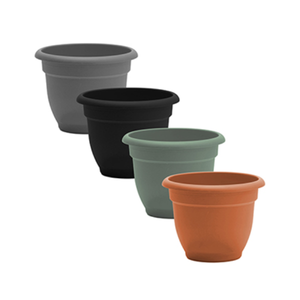 Bloem 15-30 cm (6-12") Ariana Planter, Core Refill Display (160 pcs)