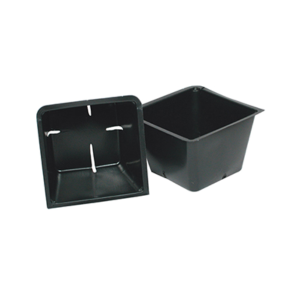 Propagation Insert 3601, 36 Cell (100 pcs)