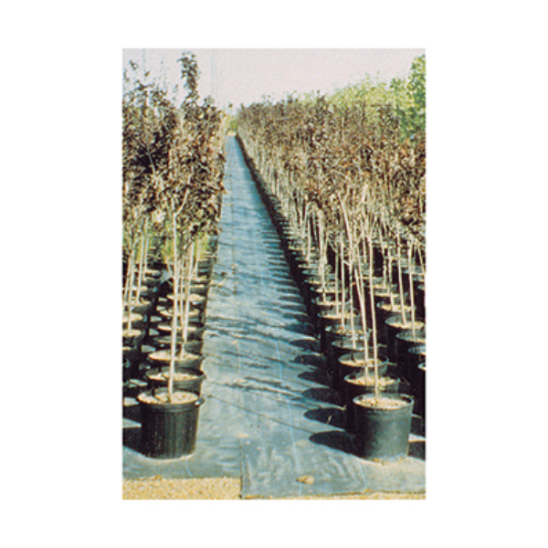 DeWitt Sunbelt, 91 g (3.2 oz) Woven Groundcover, 1.83 x 91.4 m (6' x 300')