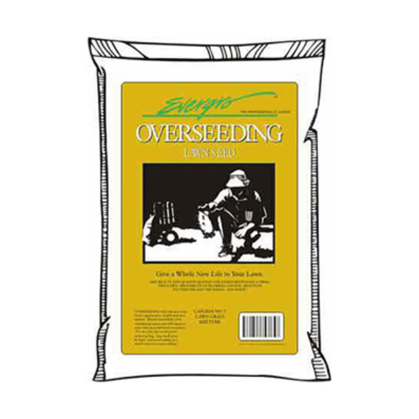 Evergro Overseeding Lawn Seed, 25 kg (55 lb)