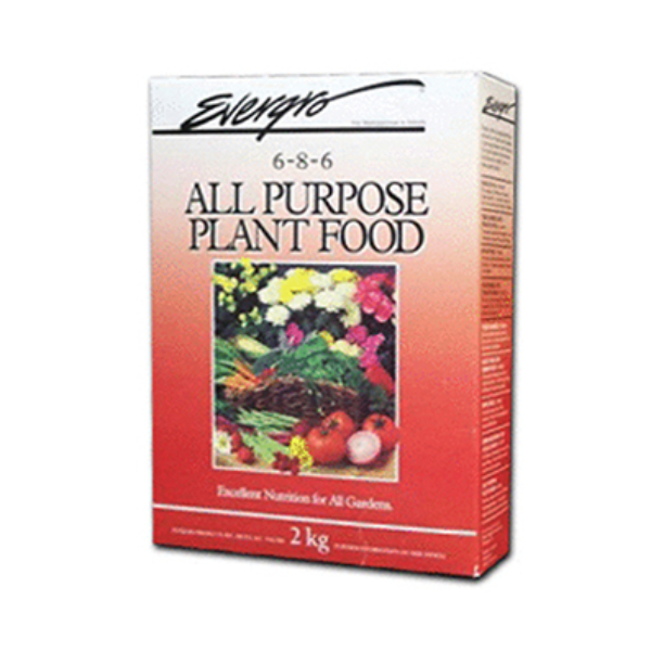 Evergro All Purpose Plant Food 6-8-6, 2 kg (4.4 lb), Mini Pallet (84 pcs)