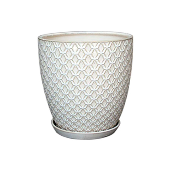 Q116086.jpg