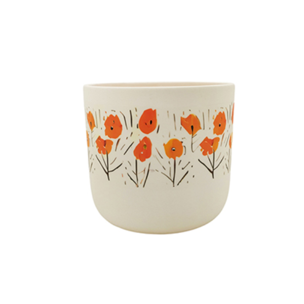 Evergarden Tangerine Blaze Indoor Ceramic Planter, 12.5  x12.5 x 11.3