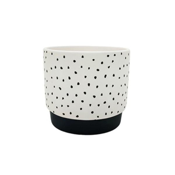 Evergarden Polka Dot Indoor Ceramic Planter, 10.5 x 10.5 x 9.6 cm