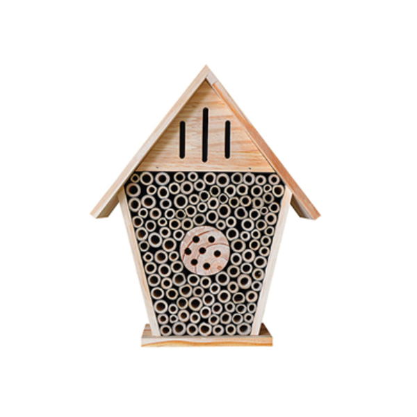 Insect Chateau