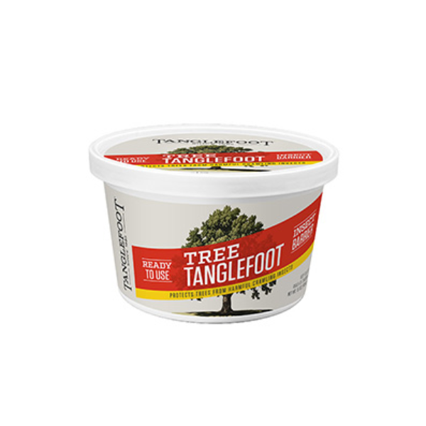 Tree Tanglefoot Insect Barrier, 0.4 kg (15 oz) Tub