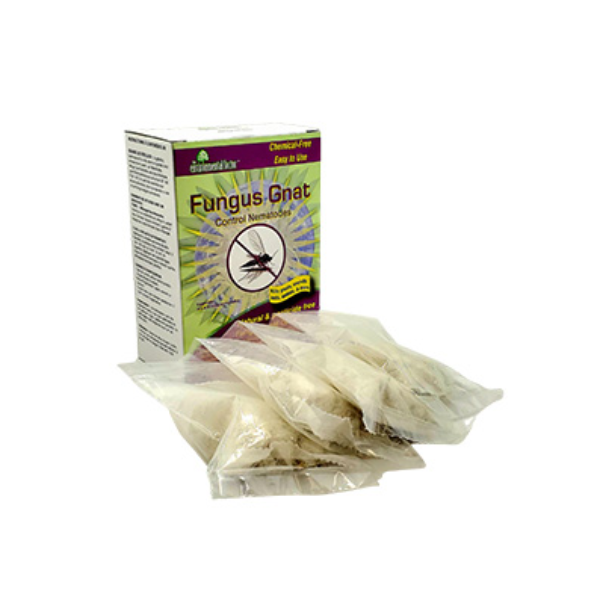Environmental Factor Fungus Gnat Control Nematodes, 4 x 5 Million Nematodes