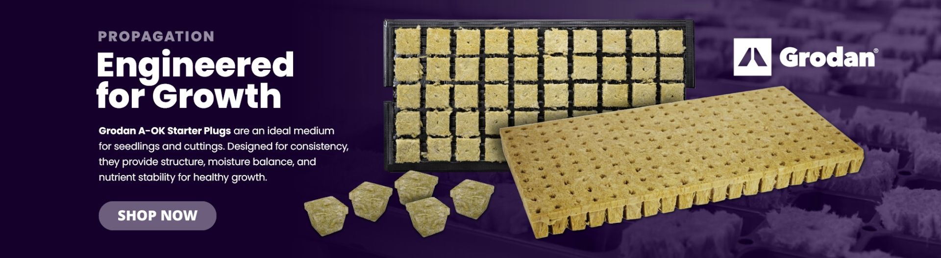 Engineered for Growth: Grodan A-OK Starter Plugs are an ideal medium for seedlings and cuttings.