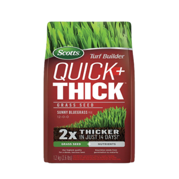 Scotts Turf Builder Quick + Thick Grass Seed Sunny Bluegrass Mix, 1.2 kg