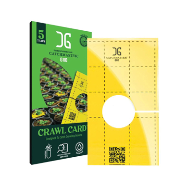 Catchmaster Crawl Card (1,250 / pack)